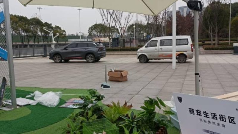 展览展示项目经理面试，这些关键问题你准备好了吗？**